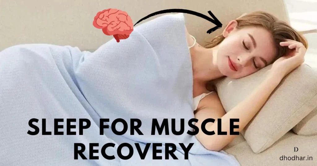 Sleep for Muscle Recovery